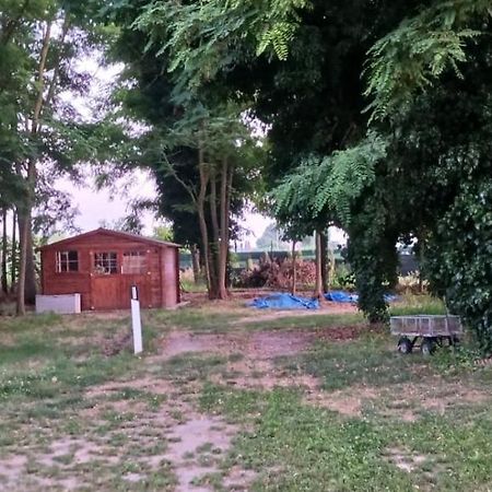Casetta Di Laura Pisa Eksteriør bilde